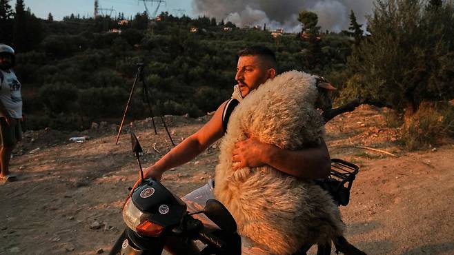 네이처 선정 2025년 최고의 과학사진./Thanassis Stavrakis/AP Photo/Alamy