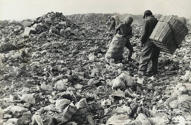 1990년 1월 난지도에서 고물을 수집하는 사람들. 민주화운동기념사업회 오픈아카이브
