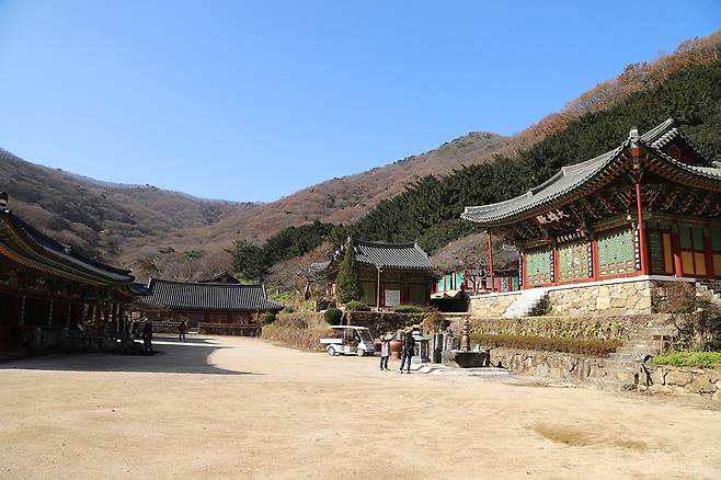 절 마당에 서 있으면 부드러운 능선과 울창한 숲을 이룬 덕룡산이 사찰을 감싸고 있어 포근하게 느껴진다.