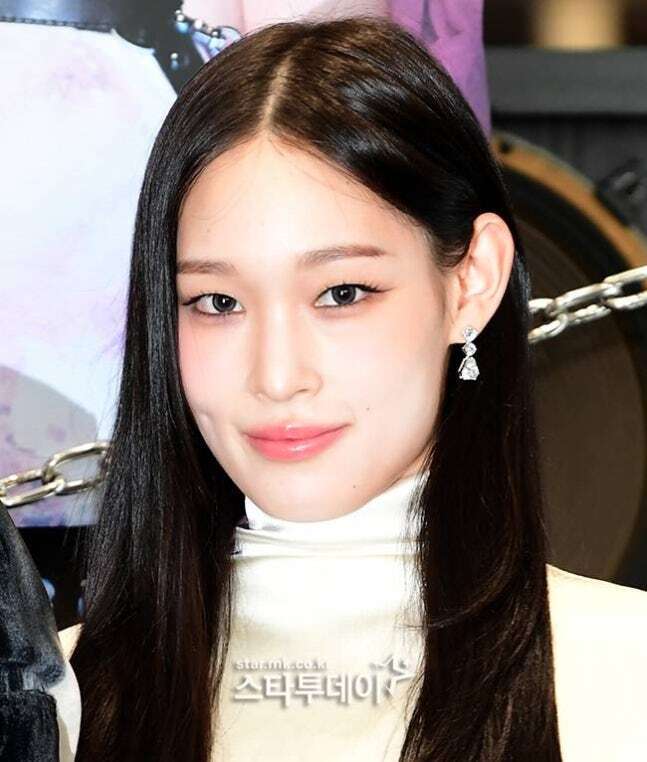 올데이프로젝트 애니. / 사진=스타투데이 DB