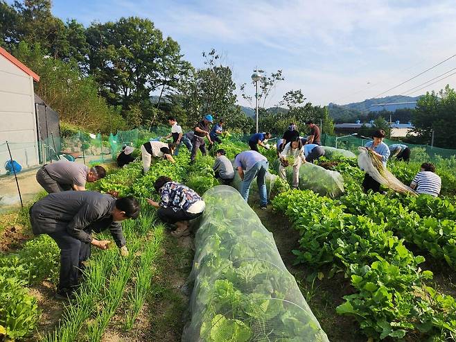 계룡농업대학 친환경 텃밭 실습 진행 모습. 계룡시 제공