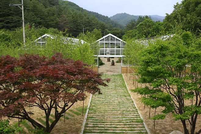 한국자생식물원_한국관광공사 제공
