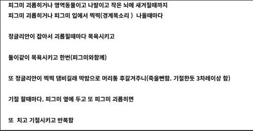 A씨가 네이버 카페에 작성한 글. 네이버 카페 캡처