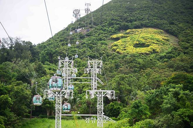 오션파크는 크게 워터프런트와 서밋, 두 개의 구역으로 나뉜다. 워터프런트와 서밋을 잇는 케이블카