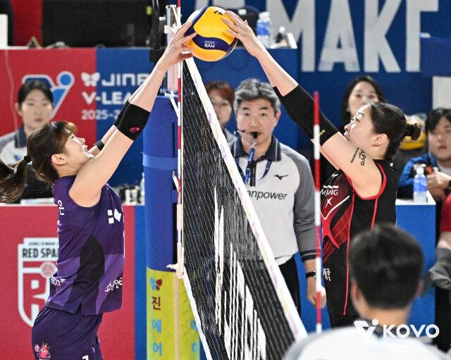 흥국생명 김다은과 정관장 박은진이 네트 싸움을 하고 있다./KOVO