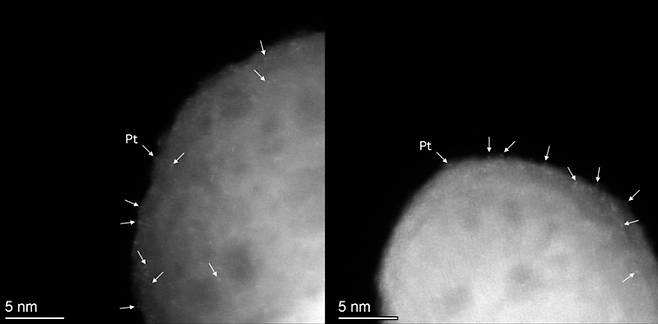 단일원자 백금 입자의 전자현미경 사진. 화살표로 표시된 밝은 대비점들은 지지체 표면에 하나씩 고르게 분산된 백금 원자들을 나타내며, 백금이 뭉치지 않고 안정적으로 분산된 상태임을 확인할 수 있다. 한국연구재단
