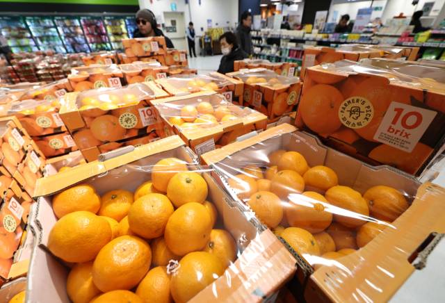 해당 사진은 기사와 무관함. 뉴스1