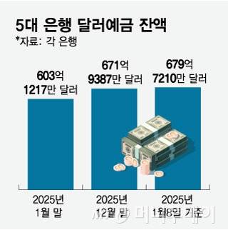 5대 은행 달러예금 잔액/그래픽=임종철