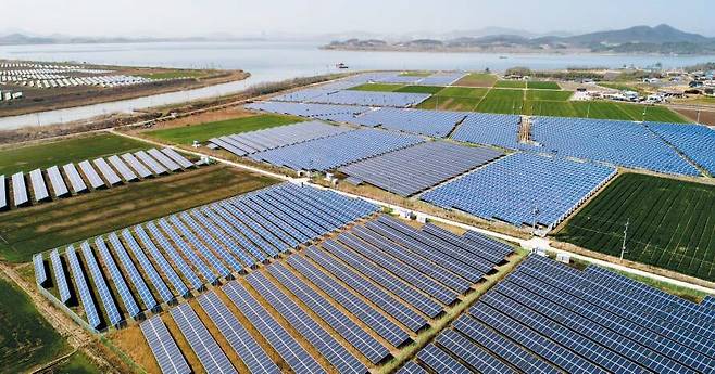 전남 영암군 학산면 간척지의 농지 사이로 곳곳에 태양광 패널이 설치돼 있는 모습. /김영근 기자