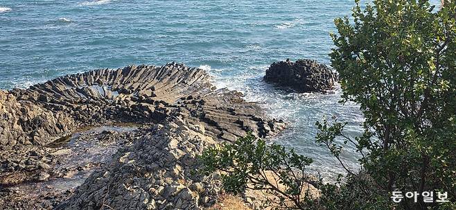 경주양남주상절리군 중 부채꼴 주상절리. 경주=김선미 기자 kimsunmi@donga.com