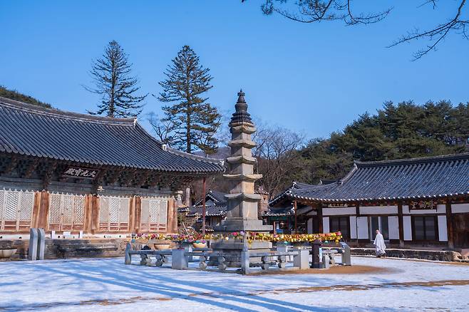 태화산(416m) 자락의 천년고찰 마곡사. 대광보전 앞에 우뚝 선 오층석탑은 지난 9일 국보로 승격됐다. 백종현 기자