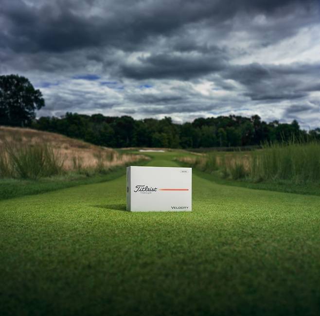 타이틀리스트 2026년형 벨로시티 골프볼. 타이틀리스트