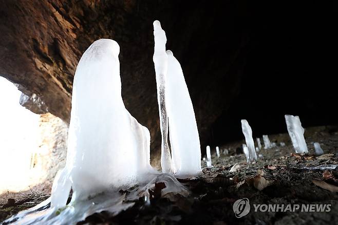한파가 빚은 '거꾸로 고드름' (제천=연합뉴스) 김형우 기자 = 한파가 기승을 부린 22일 오후 충북 제천시 덕산면 월악산 보덕암 인근 보덕굴에서 바닥의 물방울이 얼어 위로 자라난 역고드름이 동굴 안에 솟아 있다. 2026.1.22 vodcast@yna.co.kr