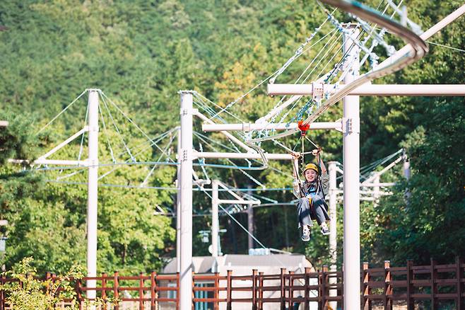 청도신화랑풍류마을의 하이라이트인 짚롤러코스터. <청도군 제공>