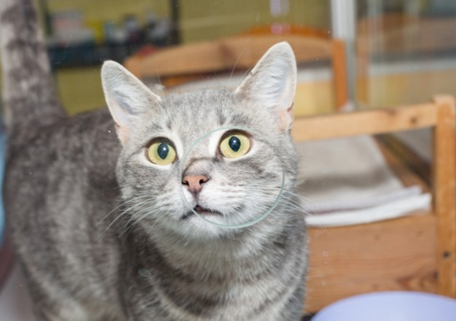 사진=게티이미지뱅크.