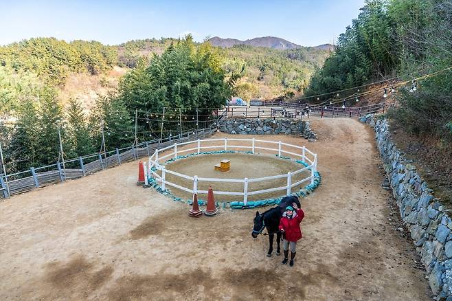 대나무 숲 사이의 행복마굿간. 고구마 밭을 손수 개간해 멋진 공간을 만들어낸 김지혜 사장 (사진=이효태)