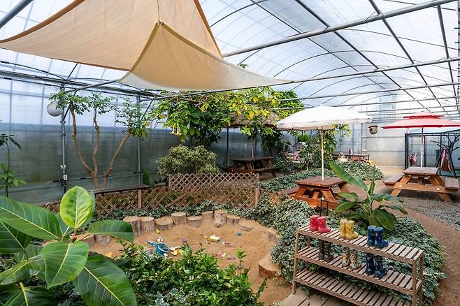 앵무새체험장 내부, 아기자기한 초록의 정원은 아내의 작품(사진=이효태)