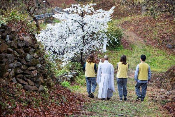 순천 송광사 템플스테이 모습. 사진 한국불교문화사업단