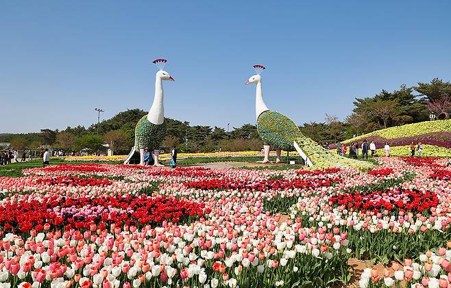 지난해 꽃박람회 모습