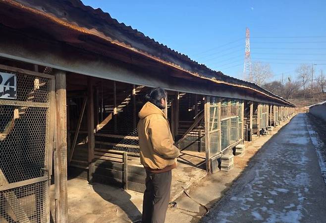 경기 화성시 ‘산안마을농장’은 지난 겨울 고병원성 조류인플루엔자 감염이 발생해 산란계 4만 마리를 살처분했다. 이경묵 산안마을 팀장이 텅 빈 계사를 둘러보고 있다. 산안마을 제공
