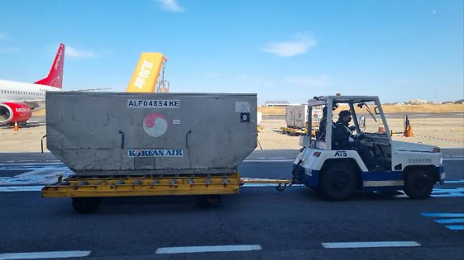 ULD컨테이너 모습. 대한항공 제공