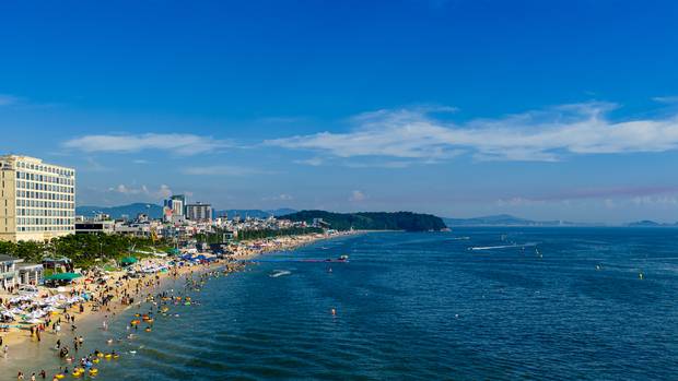 충남 보령 대천해수욕장. 사진제공=보령시