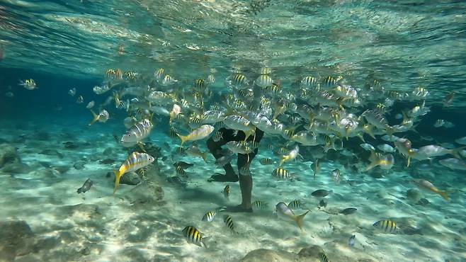 KBS1 ‘걸어서 세계속으로’