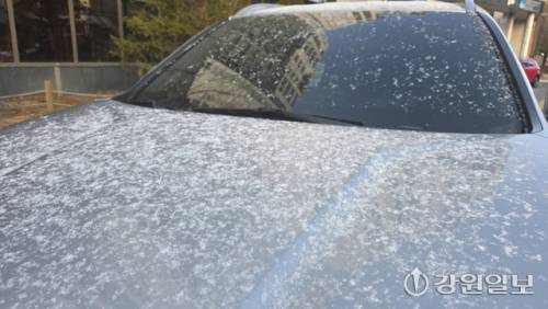 ◇2일 오전 강릉시 내 한 차량에 적은 양의 눈가루가 쌓여 있다. 강릉=권태명기자