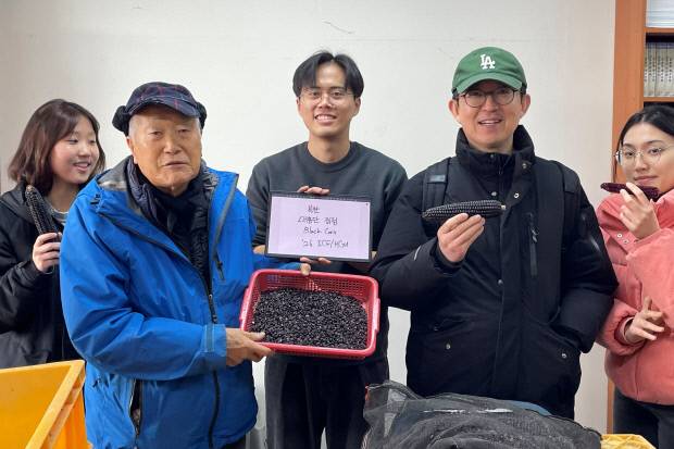 김순권 박사(왼쪽에서 두 번째)가 28년간의 연구 끝에 개발한 대홍단 블랙콘을 선보이고 있다.사진은 한동대 제공.