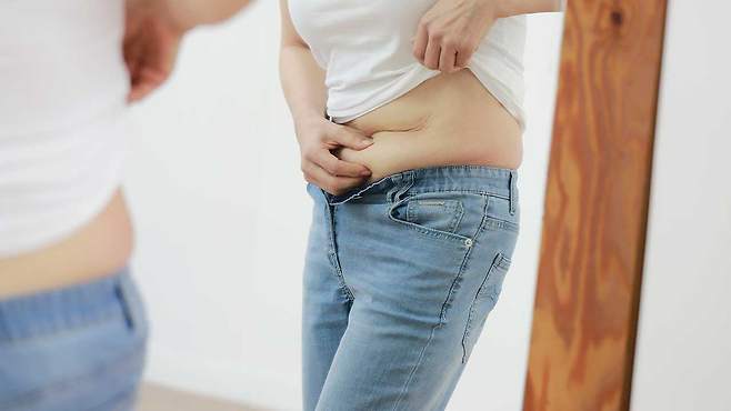 운동·식단을 해도 살이 빠지지 않는다면, 질환이 원인인 '이차성 비만'을 의심해야 한다|출처: 클립아트코리아