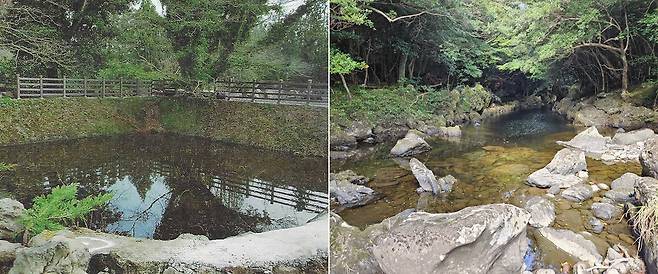 사진 왼쪽은 동백동산 습지, 논골(동백동산습지조사단, 2017). 오른쪽은 한남리 머체왓 소(沼). ⓒ제주의소리