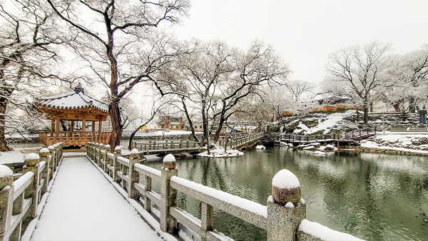 연못과 정자가 어우러진 전통 정원 '함안군 무진정'. / 함안군