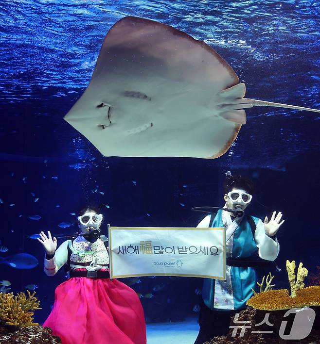 설 명절을 앞둔 11일 경기 수원시 영통구 아쿠아플라넷 광교에서 한복을 입은 아쿠아리스트들이 설 명절 인사를 하고 있다. 2026.2.11 ⓒ 뉴스1 김영운 기자