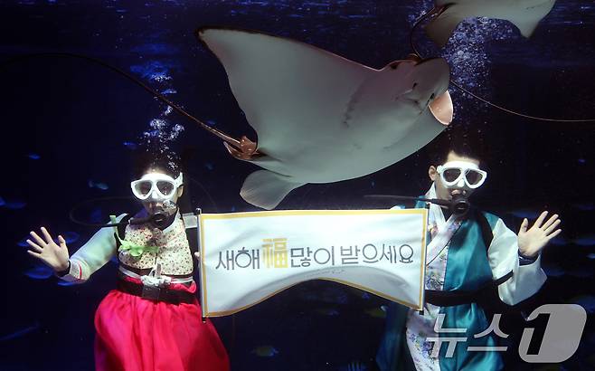 설 명절을 앞둔 11일 경기 수원시 영통구 아쿠아플라넷 광교에서 한복을 입은 아쿠아리스트들이 설 명절 인사를 하고 있다. 2026.2.11 ⓒ 뉴스1 김영운 기자
