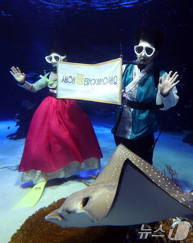 설 명절을 앞둔 11일 경기 수원시 영통구 아쿠아플라넷 광교에서 한복을 입은 아쿠아리스트들이 설 명절 인사를 하고 있다. 2026.2.11 ⓒ 뉴스1 김영운 기자