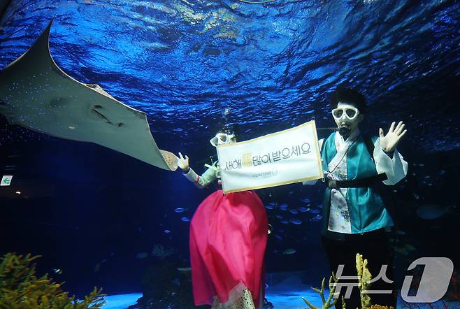 설 명절을 앞둔 11일 경기 수원시 영통구 아쿠아플라넷 광교에서 한복을 입은 아쿠아리스트들이 설 명절 인사를 하고 있다. 2026.2.11 ⓒ 뉴스1 김영운 기자