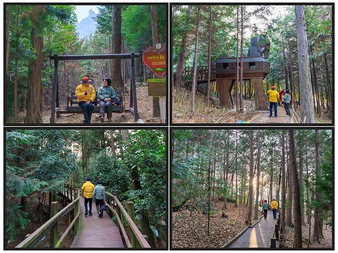 정남진 편백숲 우드랜드