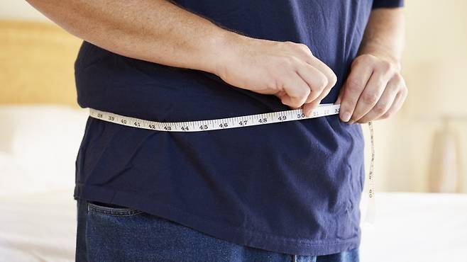 지방세포 증가와 내장지방 축적이 인슐린 저항성을 높이고 염증 물질을 분비해 이상지질혈증을 유발한다 | 출처: 클립아트코리아