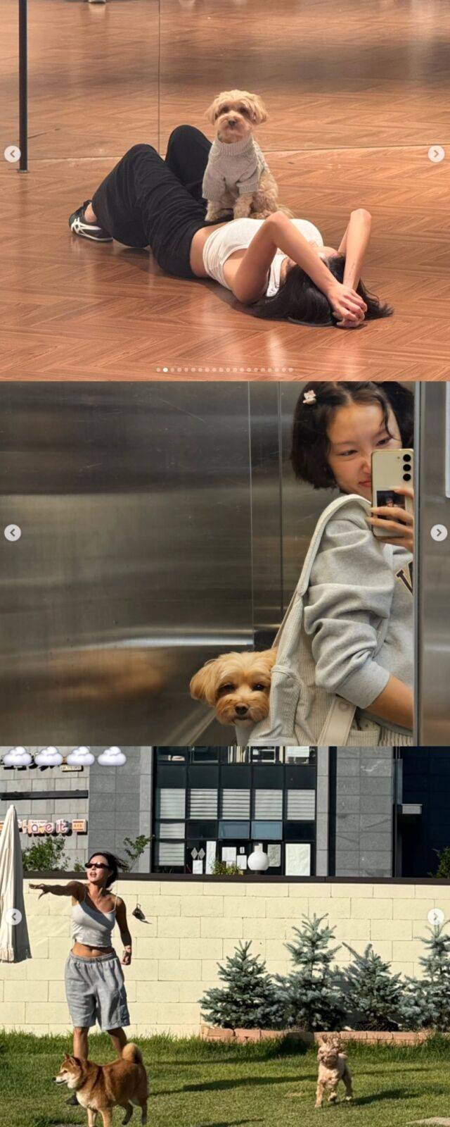화사는 지난 11일 자신의 SNS를 통해 "Chill똥꼬baby"라는 글과 함께 반려견 똥꼬와 한시도 떨어지지 않는 애정 가득한 모습을 공유했다./화사 소셜미디어