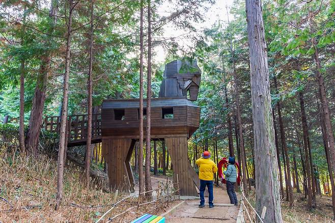 장흥 우드랜드 편백숲