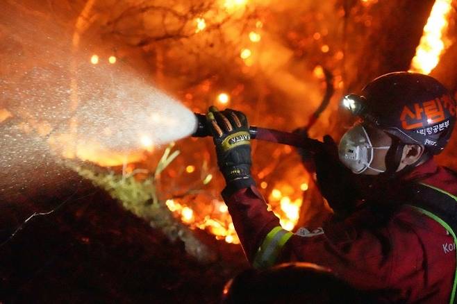 2023년 경남 합천 야간 산불 현장에서 산림청 특수진화대원이 불을 끄고 있다. 서울신문 DB