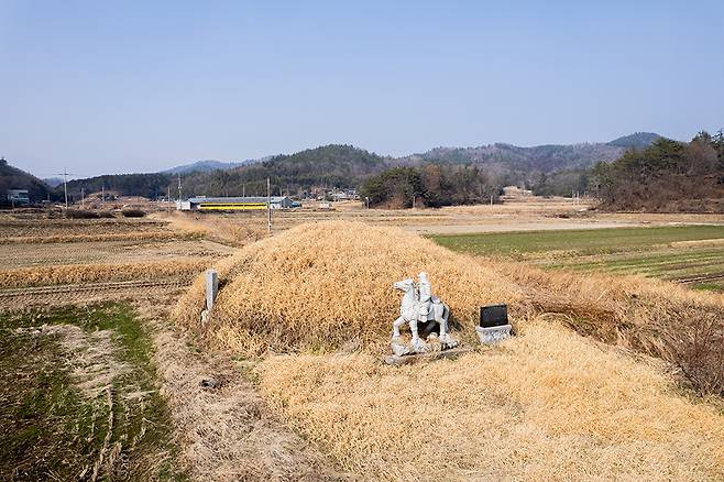 황대중 시신을 옮긴 말을 묻은 무덤. ‘애마총’(강진군 작천면)