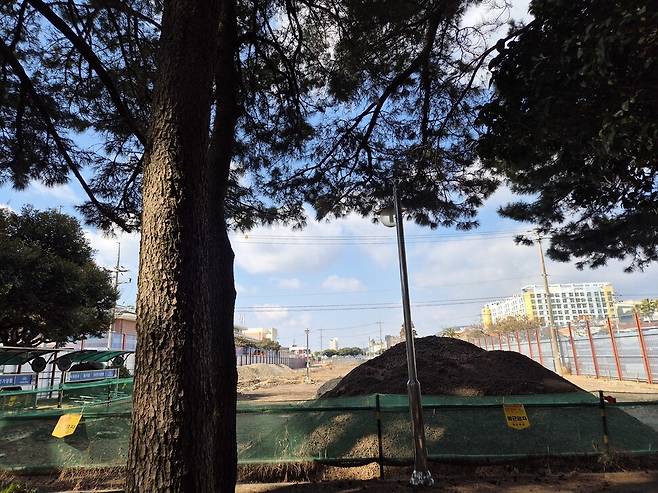 솔숲에서 바라본 ‘서귀포시 도시 우회도로’ 공사 현장. 파헤쳐진 곳은 원래 잔디광장이었다. 서보미 기자