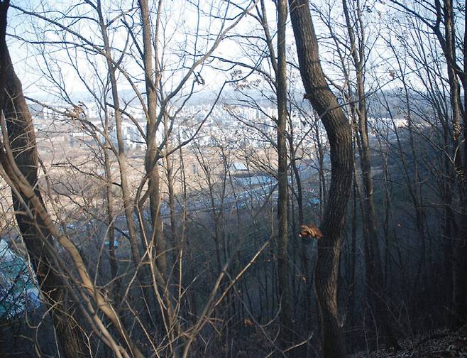 성북동산성에서 동쪽으로 바라본 대전 시내./사진=대전시 제공