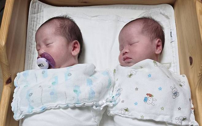 무사히 태어난 쌍둥이. 부천소방서 제공