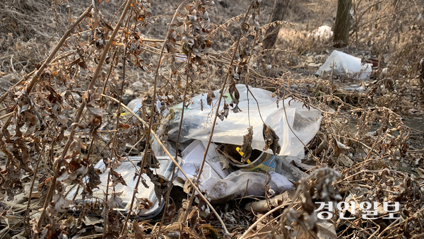 20일 정오께 화성시 만세구 양감면 덕지산 초입 잡목 사이에 무단투기한 봉투와 생활쓰레기가 버려져 있다. 2026.2.20 /유혜연기자 pi@kyeongin.com