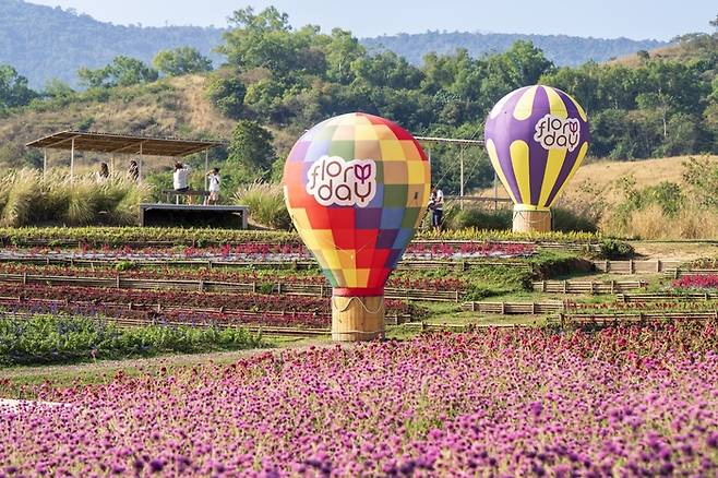 나콘랏체시마-플로리다 카오야이 카페 & 플라워 / 사진 = 태국정부관광청 서울사무소