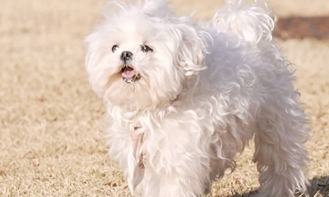 사진=MBC 나혼자산다