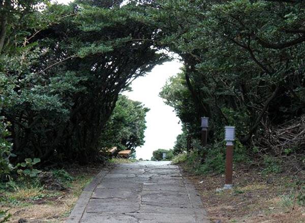 제주 남원 큰엉길 한반도 지형. (사진-배공순)