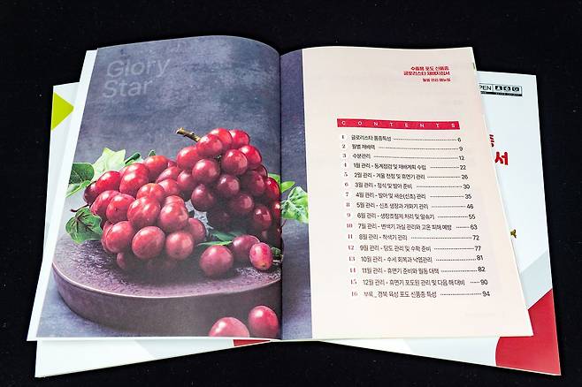 경북농업기술원이 발간한 글로리스타 재배 지침서 모습. 사진 경북도